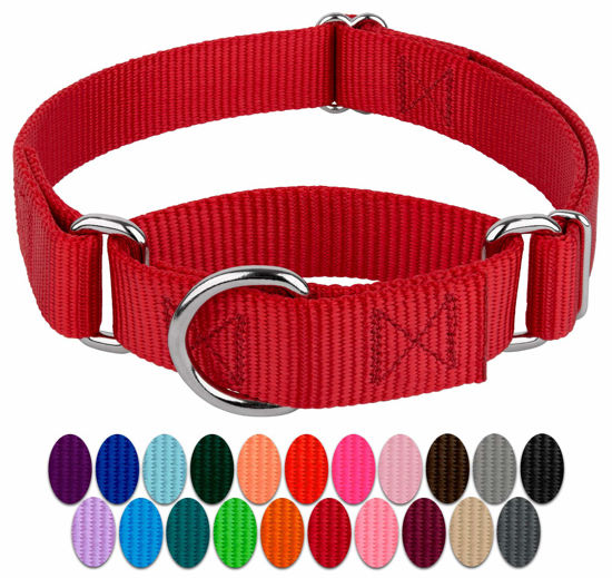 Picture of Country Brook Petz - Red Martingale Heavy Duty Nylon Dog Collar - 21 Vibrant Color Options (3/8 Inch Width, Extra Small)