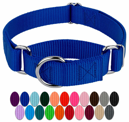 Picture of Country Brook Petz - Royal Blue Martingale Heavy Duty Nylon Dog Collar - 21 Vibrant Color Options (3/8 Inch Width, Micro)