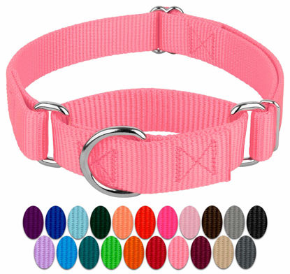 Picture of Country Brook Petz - Pink Martingale Heavy Duty Nylon Dog Collar - 21 Vibrant Color Options (3/8 Inch Width, Extra Small)