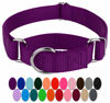 Picture of Country Brook Petz - Purple Martingale Heavy Duty Nylon Dog Collar - 21 Vibrant Color Options (3/8 Inch Width, Extra Small)