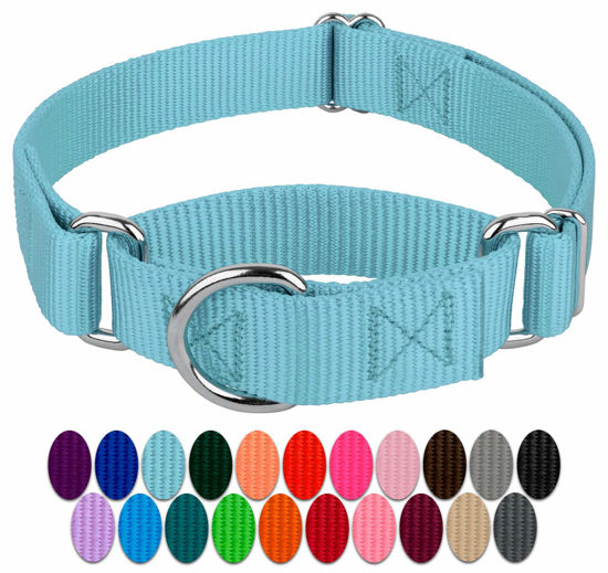 Picture of Country Brook Petz - Ocean Blue Martingale Heavy Duty Nylon Dog Collar - 21 Vibrant Color Options (3/8 Inch Width, Extra Small)