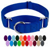 Picture of Country Brook Petz - Royal Blue Martingale Heavy Duty Nylon Dog Collar - 21 Vibrant Color Options (3/8 Inch Width, Mini), Mini (Pack of 1)