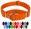 Picture of Country Brook Petz - Orange Martingale Heavy Duty Nylon Dog Collar - 21 Vibrant Color Options (3/8 Inch Width, Mini)