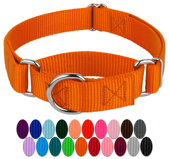 Picture of Country Brook Petz - Orange Martingale Heavy Duty Nylon Dog Collar - 21 Vibrant Color Options (3/8 Inch Width, Extra Small)