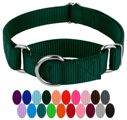 Picture of Country Brook Petz - Green Martingale Heavy Duty Nylon Dog Collar - 21 Vibrant Color Options (1 Inch Width, Extra Large)