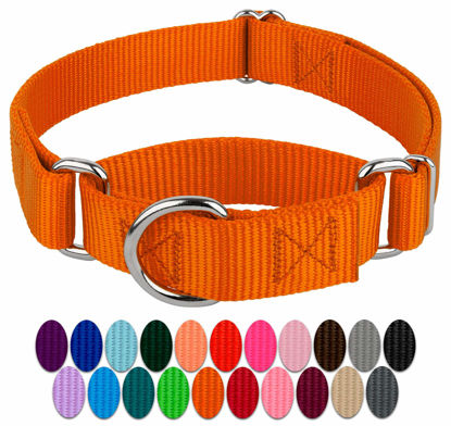 Picture of Country Brook Petz - Orange Martingale Heavy Duty Nylon Dog Collar - 21 Vibrant Color Options (3/8 Inch Width, Micro)