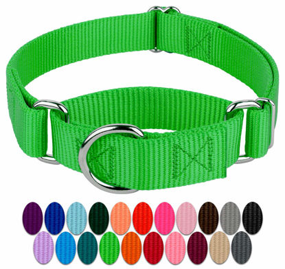 Picture of Country Brook Petz - Hot Lime Green Martingale Heavy Duty Nylon Dog Collar - 21 Vibrant Color Options (3/8 Inch Width, Mini)