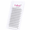 Picture of Volume Lash Extensions 6D Lash Fans D Curl 18mm Eyelash Extensions Premade Fans 0.10mm Short Stem FADLASH Volume Premade Fans (6D-0.10-D, 18mm)