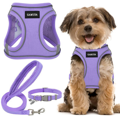 Picture of GAMUDA Small Pet Harness Collar and Leash Set, Step in No Chock No Pull Linen Fabric Soft Mesh Dog Vest Harnesses Reflective for Dogs Puppy and Cats Outdoor Training and Running (XS, Purple)