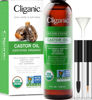 Picture of Cliganic USDA Organic Castor Oil, 100% Pure (8oz with Eyelash Kit) - For Eyelashes, Eyebrows, Hair & Skin | Natural Cold Pressed Unrefined Hexane-Free