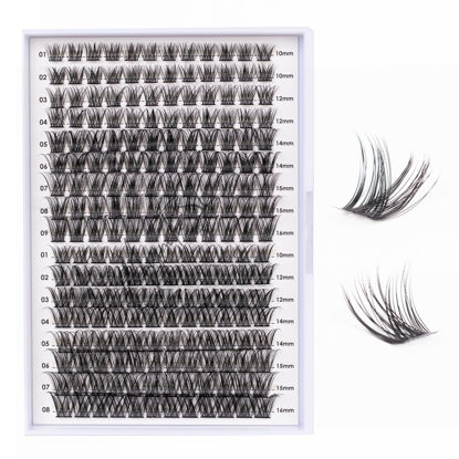 Picture of Lash Clusters 204 Pcs Individual Lashes Clusters Eyelash Extensions False Eyelashes DIY Wispy Fluffy Lash Extension Kit Reusable False Eyelashes Natural Look Mix 10-16mm C D Curl(DM01+DM17)