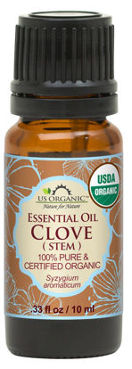 Picture of US Organic 100% Pure Clove Stem Essential Oil - USDA Certified Organic, Steam Distilled (10 ml)