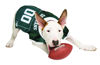 Picture of Pets First Mesh Jersey for DOGS & CATS, Small. Licensed Big Dog Jersey with your Favorite Football/Basketball College Team