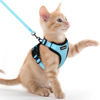 Picture of rabbitgoo Cat Harness and Leash for Walking, Escape Proof Soft Adjustable Vest Harnesses for Cats, Easy Control Breathable Reflective Strips Jacket, Light Blue, XXS