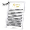 Picture of QUEWEL Cluster Lashes 144 Pcs Wide Stem Individual Lashes C/D Curl 8-16mm Length DIY Eyelash Extension False Eyelashes Natural&Mega Styles Soft for Personal Makeup Use at Home (Natural-D-MIX-144 Pcs)