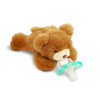 Picture of RaZbaby RaZbuddy JollyPop Pacifier Holder w/Removable Baby Pacifier - 0m+ - BPA Free (Bear)