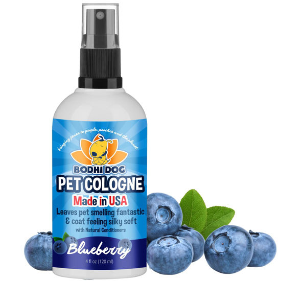 Picture of Bodhi Dog Natural Dog Cologne | Premium Scented Deodorizing Body Spray for Dogs & Cats | Neutralizes Strong Odors | Dog Perfume with Natural Dog Conditioner | Made in USA (Blueberry, 4 Fl Oz)