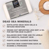 Picture of One With Nature Dead Sea Mineral Salt Soap 4oz 3Pk with Argan Oil & Shea Butter - Dead Sea Salt Contains Magnesium, Sulfur & 21 Essential Minerals - All Skin Types, Acne, Eczema - Fragrance Free