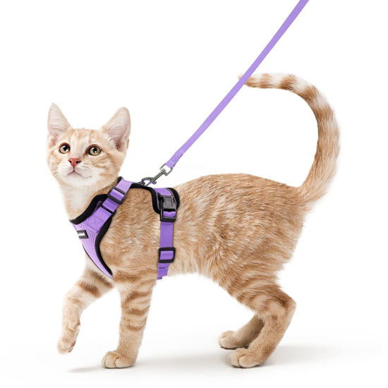 Picture of rabbitgoo Cat Harness and Leash for Walking, Escape Proof Soft Adjustable Vest Harnesses for Cats, Easy Control Breathable Reflective Strips Jacket, Light Purple, XS