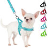 Picture of SlowTon No Pull Small Dog Harness and Leash Set, Puppy Soft Vest Harness Neck & Chest Adjustable, Reflective Lightweight Harness & Anti-Twist Pet Lead Combo for Small Medium Dogs(BL-Front Clip,XXS)