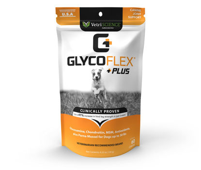 Picture of VetriScience GlycoFlex Plus Joint Support Dog Supplements - 60 Chews - Extra Strength Hip and Joint Health Supplement with Glucosamine, Chondroitin, MSM & DMG for Small Dogs Under 30 lbs