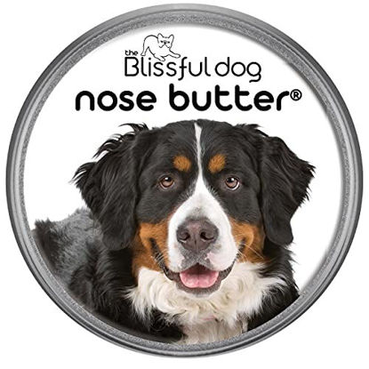 Picture of The Blissful Dog Bernese Mountain Nose Butter - Dog Nose Butter, 4 Ounce