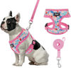 Picture of PUPTECK Soft Mesh Dog Harness and Leash Set Pet Puppy Cat Comfort Padded Vest No Pull Harnesses, Pink Floral, S