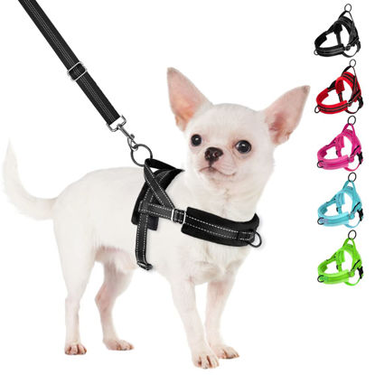 Picture of SlowTon No Pull Small Dog Harness and Leash Set, Puppy Soft Vest Harness Neck & Chest Adjustable, Reflective Lightweight Harness & Anti-Twist Pet Lead Combo for Small Medium Dogs (B-Front Clip,XXS)