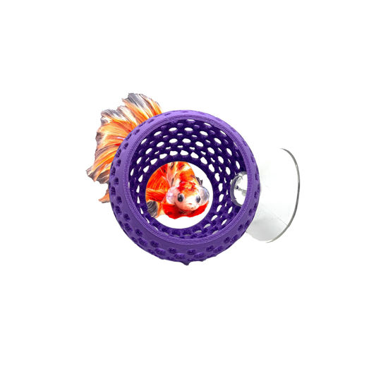 Picture of CTWPets Betta Bulb Hide | Betta Rest Fish Tank Ornament | Aquarium Cave with Suction Cup for Small Fish Tank, Betta Habitat, Shrimp Hideout, Aquatic Decor (Lavender Bliss)