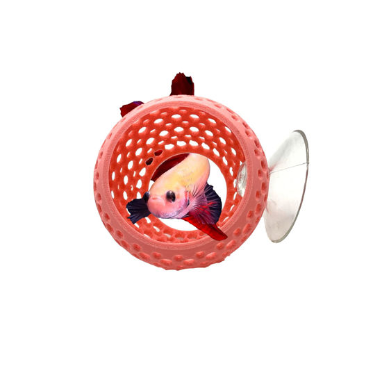 Picture of CTWPets Betta Bulb Hide | Betta Rest Fish Tank Ornament | Aquarium Cave with Suction Cup for Small Fish Tank, Betta Habitat, Shrimp Hideout, Aquatic Decor (Bubblegum Pink)