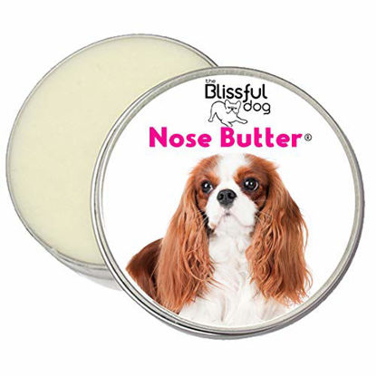 Picture of The Blissful Dog Blenheim Cavalier Nose Butter - Dog Nose Butter, 4 Ounce