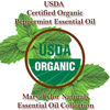 Picture of Organic Peppermint Essential Oil Large 4 oz, USDA Certified Organic, By Mary Tylor Naturals Premium Therapeutic Grade, 100% Pure, Perfect for Aromatherapy, Relaxation, Improved Mood, Repel Mice, Pests