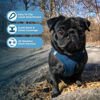 Picture of Voyager Step-in Air Dog Harness - All Weather Mesh Step in Vest Harness for Small and Medium Dogs and Cats by Best Pet Supplies - Harness (Blue), XS (Chest: 13-14.5")