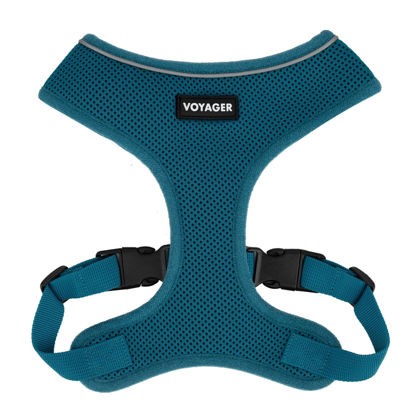 Picture of Aerolite No Pull Mesh Dog Harness with Lightweight, Soft, Breathable Chest Coverage, Reflective Stitching, and Adjustable Straps for Walking, Running, Training, Heavy Duty and Durable - Turquoise, S