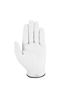 Picture of Callaway Golf Dawn Patrol Glove (Worn on Left Hand, White 2024, Medium/Large, Cadet (Short Fingers))