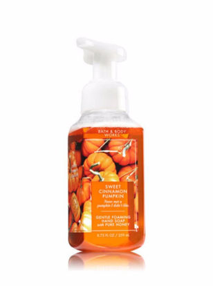 Picture of Bath & Body Works Gentle Foaming Hand Soap Sweet Cinnamon Pumpkin 2017