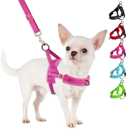 Picture of SlowTon No Pull Small Dog Harness and Leash Set, Puppy Soft Vest Harness Neck & Chest Adjustable, Reflective Lightweight Harness & Anti-Twist Pet Lead Combo for Small Medium Dogs (FU-Front Clip, XXS)