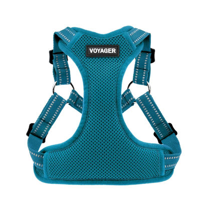 Picture of Best Pet Supplies Voyager Adjustable Dog Harness with Reflective Stripes for Walking, Jogging, Heavy-Duty Full Body No Pull Vest with Leash D-Ring, Breathable All-Weather - Harness (Turquoise), XL