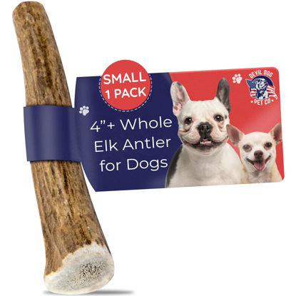 Picture of Devil Dog Pet Co. Elk Antlers for Dogs, 1 Pack, Small 4”+, Grade A Long Lasting Dog Bones for Aggressive Chewers, Premium USA Naturally Shed Antler Dog Chew - Healthy, No Odor, Dog Antler Chews