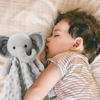 Picture of Pro Goleem Elephant Loveys for Babies Soft Security Blanket Baby Snuggle Toy Stuffed Animal Blanket Baby Registry Search Baby Boy Gifts for Infant and Toddler Gray 16 Inch