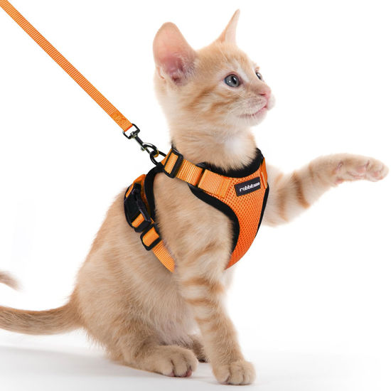 Picture of rabbitgoo Cat Harness and Leash for Walking, Escape Proof Soft Adjustable Vest Harnesses for Cats, Easy Control Breathable Reflective Strips Jacket, Orange, XXS