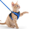 Picture of rabbitgoo Cat Harness and Leash for Walking, Escape Proof Soft Adjustable Vest Harnesses for Cats, Easy Control Breathable Reflective Strips Jacket, Navy Blue, XXS