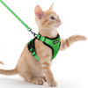 Picture of rabbitgoo Cat Harness and Leash for Walking, Escape Proof Soft Adjustable Vest Harnesses for Cats, Easy Control Breathable Reflective Strips Jacket, Grass Green, XXS