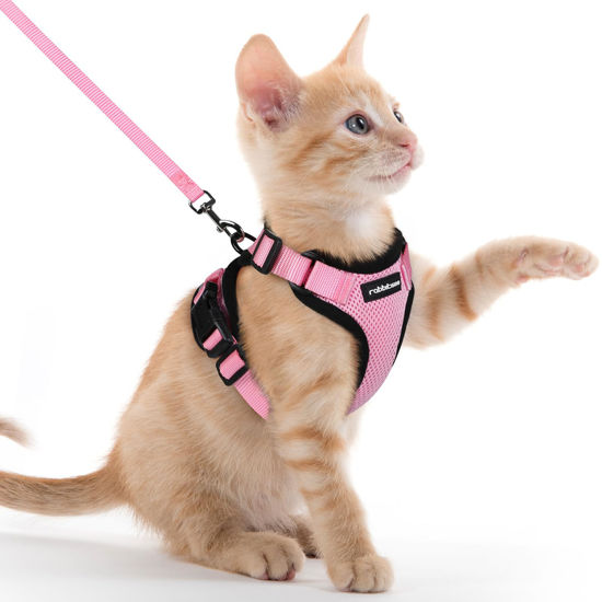 Picture of rabbitgoo Cat Harness and Leash for Walking, Escape Proof Soft Adjustable Vest Harnesses for Cats, Easy Control Breathable Reflective Strips Jacket, Pink, XXS