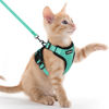 Picture of rabbitgoo Cat Harness and Leash for Walking, Escape Proof Soft Adjustable Vest Harnesses for Cats, Easy Control Breathable Reflective Strips Jacket, Emerald, XXS