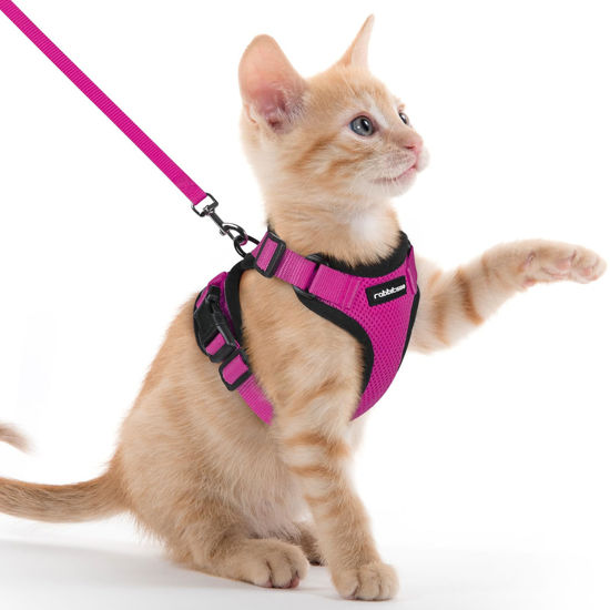 Picture of rabbitgoo Cat Harness and Leash for Walking, Escape Proof Soft Adjustable Vest Harnesses for Cats, Easy Control Breathable Reflective Strips Jacket, Rose Red, XXS