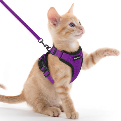 Picture of rabbitgoo Cat Harness and Leash for Walking, Escape Proof Soft Adjustable Vest Harnesses for Cats, Easy Control Breathable Reflective Strips Jacket, Purple, XXS