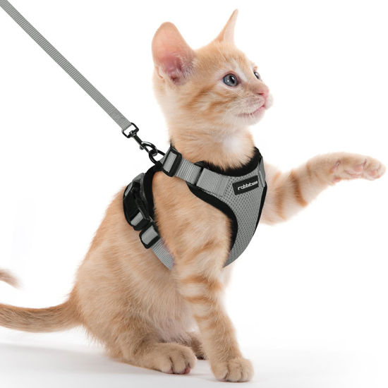 Picture of rabbitgoo Cat Harness and Leash for Walking, Escape Proof Soft Adjustable Vest Harnesses for Cats, Easy Control Breathable Reflective Strips Jacket, Grey, XXS