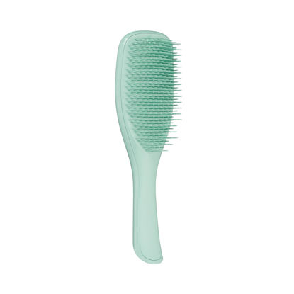 Picture of Tangle Teezer Ultimate Detangler Brush, Dry & Wet Hair Brush, Reduces Breakage for Color-Treated, Fine, & Fragile Hair Types, Marine Teal