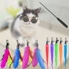 Picture of ZPH Cat Toys Interactive for Indoor Cats,2PCS Retractable Cat Wand Toys,9PCS Teaser Toys&1PCS Cat Eyeglasses Cat Toy,Interactive Feather Toy for Teaser Play and Chase Exercise with Kitten